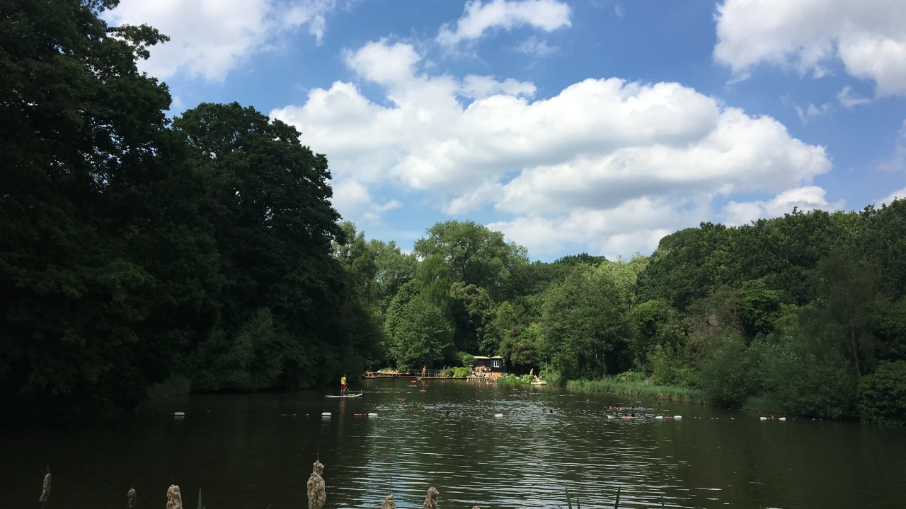 Hampstead Heath mixed bathing pond